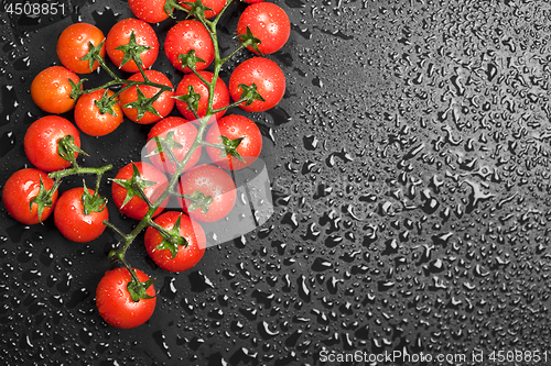 Image of Fresh organic cherry tomatoes bunch closeup on black wet backgro