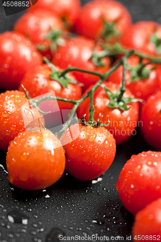 Image of Fresh organic wet cherry tomatoes bunch closeup on black backgro