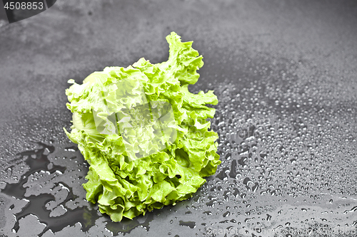 Image of Green organic lettuce salad with water drops on black background