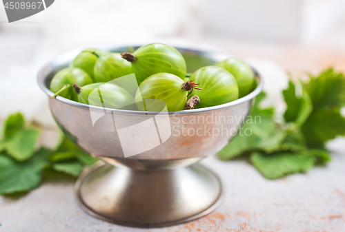 Image of gooseberry