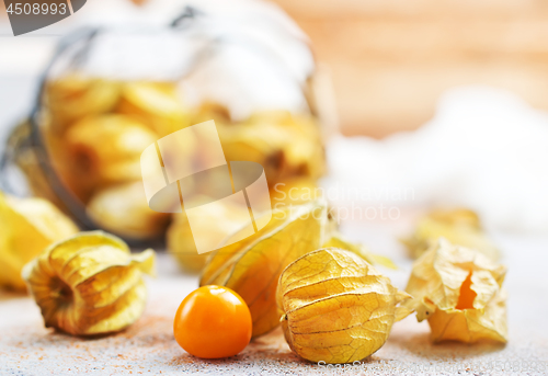 Image of Physalis