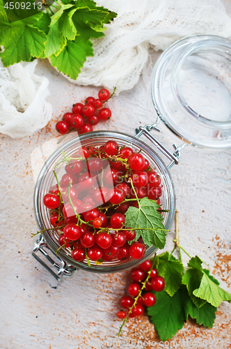 Image of red currant