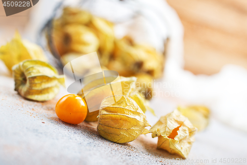 Image of Physalis