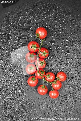 Image of Top view of fresh organic cherry tomatoes bunch.