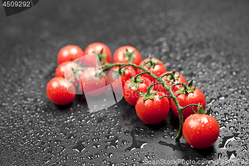 Image of Fresh organic cherry tomatoes bunch closeup on black.