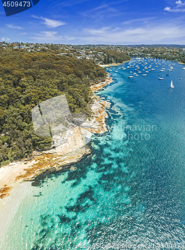 Image of Balgowlah Heights Coastal vertical panorama