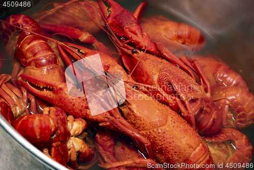 Image of Fresh red boiled crawfish