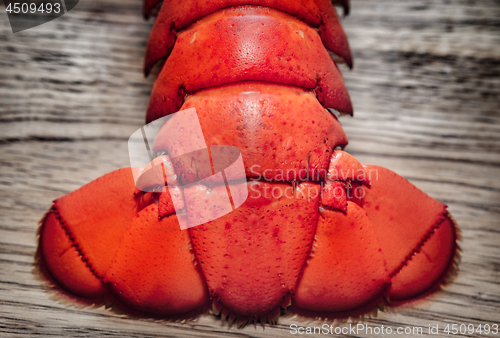 Image of Boiled Lobster 