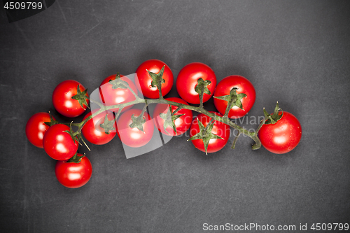 Image of Fresh organic cherry tomatoes bunch closeup on black board backg