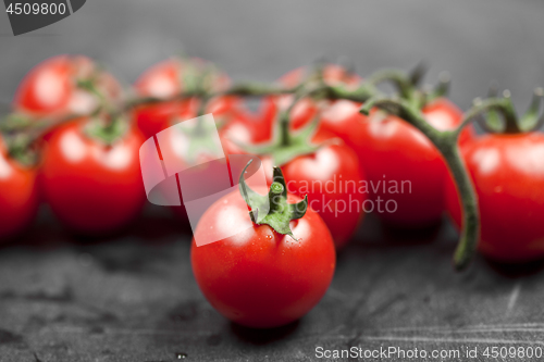 Image of Fresh organic cherry tomatoes bunch closeup on black board.