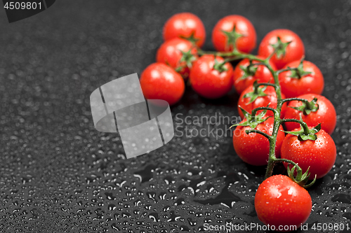 Image of Fresh organic cherry tomatoes bunch closeup on black wet backgro