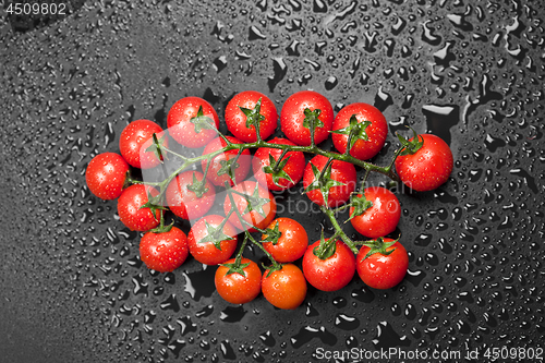 Image of Fresh organic cherry tomatoes bunch closeup on black wet backgro