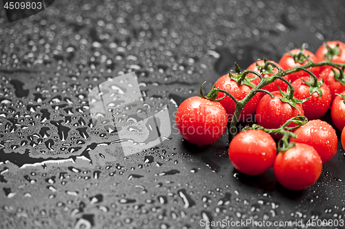Image of Fresh organic cherry tomatoes bunch closeup on black wet backgro