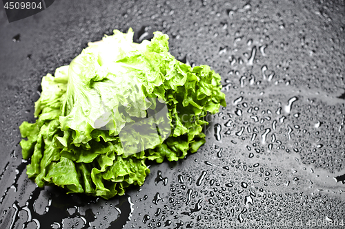 Image of Green organic lettuce salad with water drops on black background