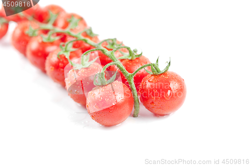 Image of Fresh organic wet cherry tomatoes bunch.