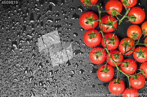 Image of Fresh organic cherry tomatoes bunch closeup on black wet backgro