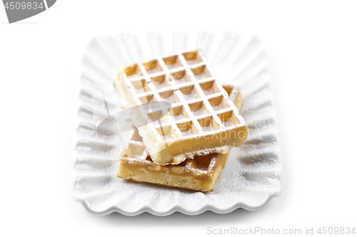 Image of Belgium waffers with sugar powder on ceramic plate isolated on w