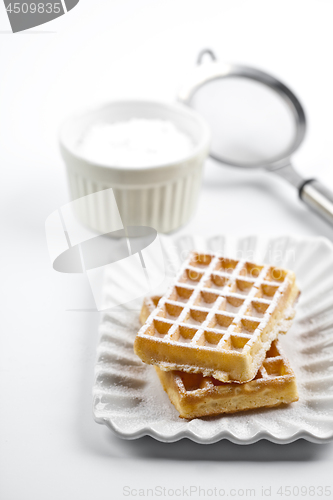 Image of Belgium waffers with sugar powder on ceramic plate and strainer 