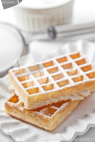 Image of Belgium waffers with sugar powder on ceramic plate and strainer 