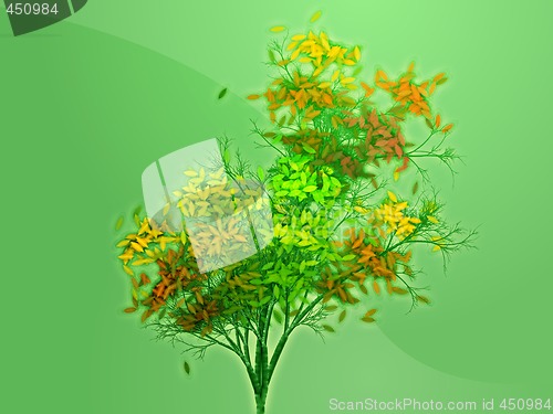 Image of Autumn leafy tree