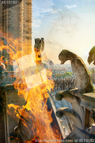 Image of Chimeras in fire on Notre Dame