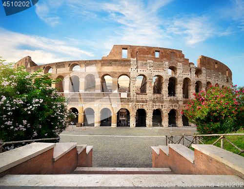 Image of Ruins of the Colosseum