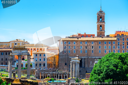 Image of Ruins of Roman Forum 