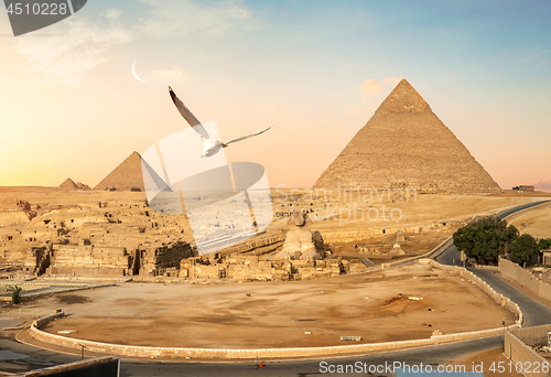 Image of Sphinx and pyramids