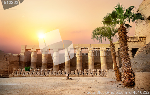 Image of Karnak temple Egypt