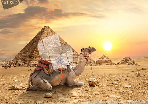 Image of Pyramids of Giza 