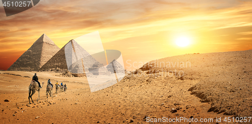 Image of Camel caravan in desert