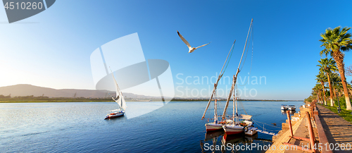 Image of Sailboat in Aswan