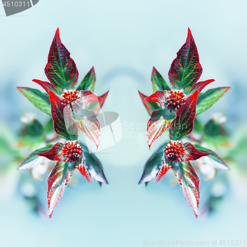 Image of Fresh Floral Mirror Pattern From Red Leaves Against Light Blue