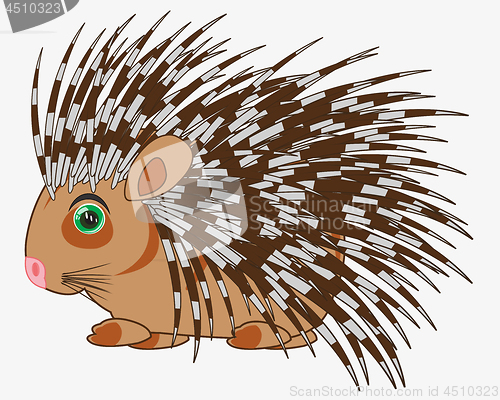 Image of Animal porcupine on white background is insulated