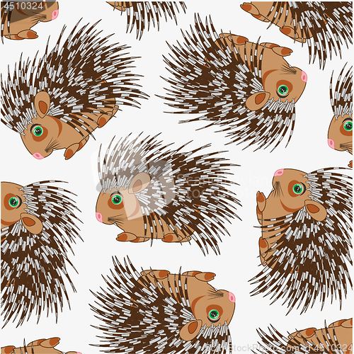 Image of Wildlife porcupine decorative pattern on white background