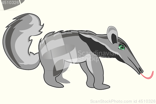 Image of Wildlife anteater on white background is insulated