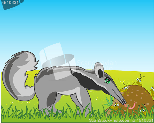 Image of Animal anteater on glade eats ant in anthill