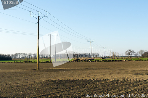 Image of Power lines in farmers fields