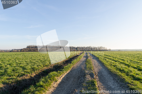 Image of Country road through a green field by spring season