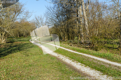 Image of Winding country road by spring season in a green landscape