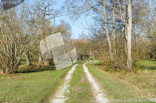 Image of Winding gravel road by spring season in a green landscape