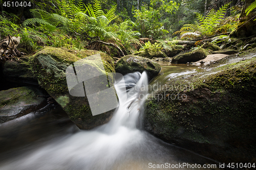 Image of Spinning waterfall in lush forest
