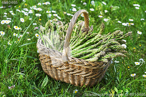 Image of Asparagus