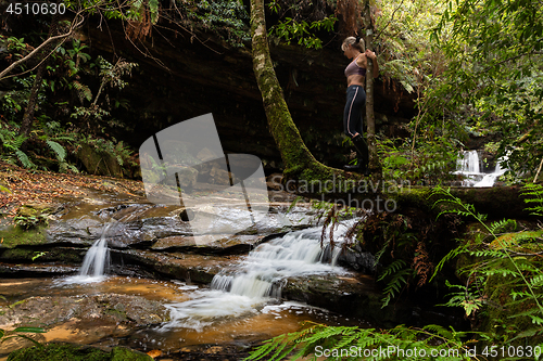Image of Exploring waterfalls in lush wilderness