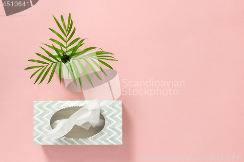 Image of Tissue box and palm leaves on pink background