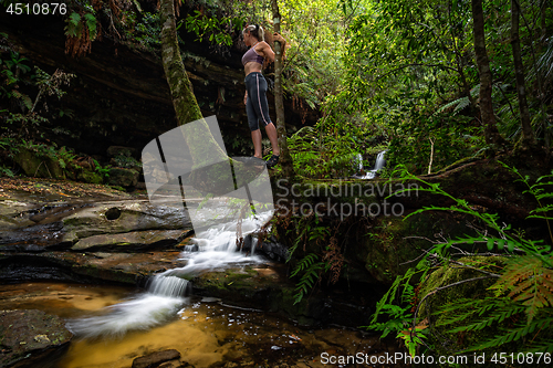 Image of Exploring lush green gullys with flowing mountain streams