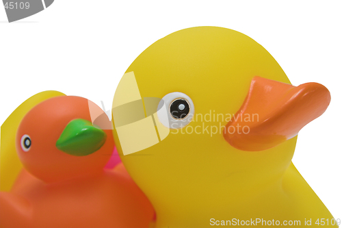 Image of Rubber ducks