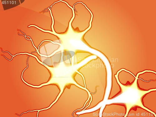 Image of Nerve cells illustration