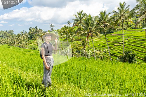 Image of Relaxed fashionable caucasian female tourist wearing small backpack and traditional asian paddy hat walking among beautiful green rice fields and terraces on Bali island