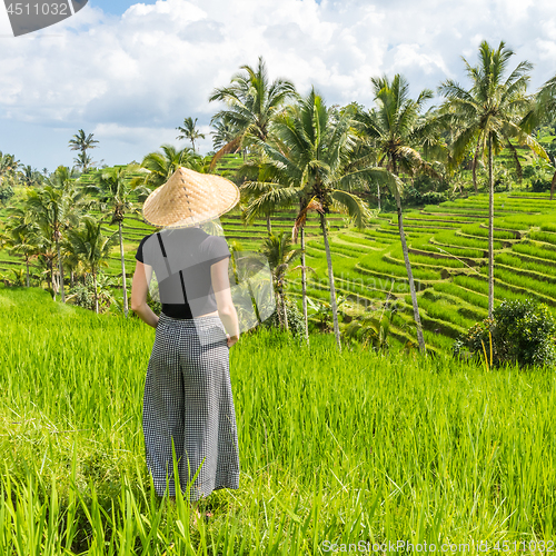 Image of Relaxed fashionable caucasian female tourist wearing small backpack and traditional asian paddy hat looking at beautiful green rice fields and terraces on Bali island